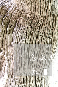 怎么用微信發(fā)起訴訟(微信怎么法院起訴別人)