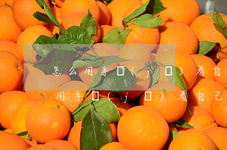 怎么用手機(jī)看自己信用卡逾期 怎么用手機(jī)看自己信用卡逾期了