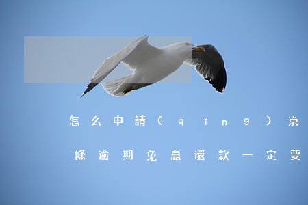怎么申請(qǐng)京東逾期免息(京東白條逾期免息還款一定要證明嗎)