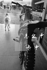 怎么申請(qǐng)信用卡逾期取消(信用卡申請(qǐng)能否取消)