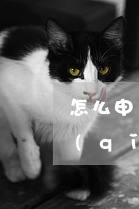 怎么申請(qǐng)大額信用卡(怎么申請(qǐng)大額信用卡收款碼)