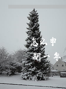 怎么申請(qǐng)網(wǎng)貸延期一年(網(wǎng)貸如何申請(qǐng)延期)
