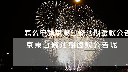 怎么申請京東白條延期還款公告-怎么申請京東白條延期還款公告呢