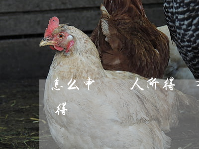 怎么申請個人所得稅(有房貸怎么申請個人所得稅)