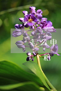 怎么申請公司郵箱(怎么弄一個企業(yè)郵箱)