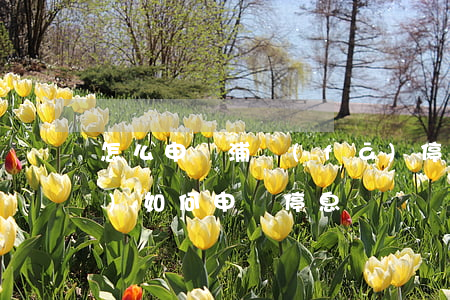 怎么申請浦發(fā)停息掛賬(浦發(fā)如何申請停息掛賬)