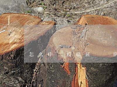 怎么申請疫情延遲還房貸