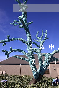 怎么申請醫(yī)療事故鑒定(怎么申請醫(yī)療事故鑒定一般多久)