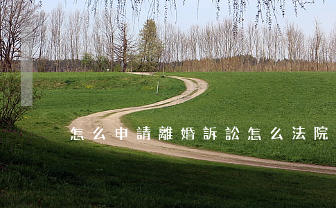 怎么申請離婚訴訟(怎么法院申請離婚?)