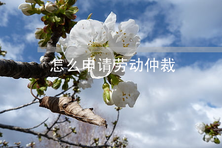 怎么申请劳动仲裁