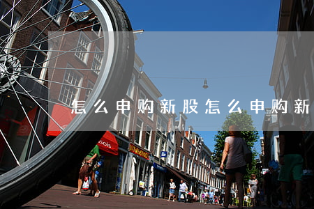 怎么申购新股，怎么申购新股票