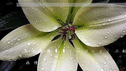 怎么直接從網(wǎng)上起訴(最高人民法院)