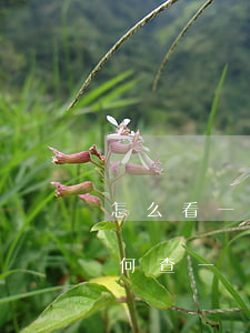 怎么看一個人是不是欠網(wǎng)貸(如何查一個人是否有網(wǎng)貸欠款的)