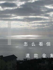 怎么看信用卡分期免息-怎么看信用卡分期還款金額