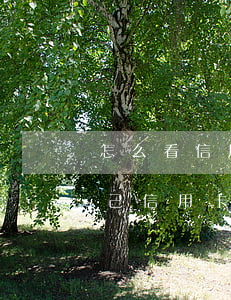 怎么看信用卡有沒(méi)逾期 怎么看自己信用卡逾期