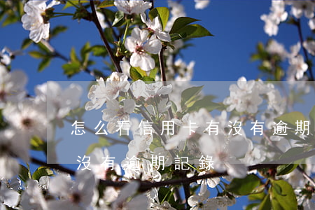 怎么看信用卡有沒有逾期-怎么看信用卡有沒有逾期記錄
