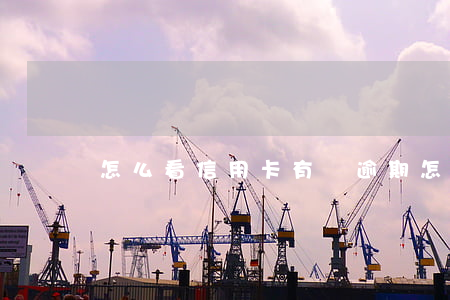 怎么看信用卡有沒逾期（怎樣判斷信用卡逾期）