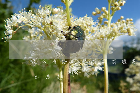 怎么看信用卡有没有透支(没用过信用卡但显示透支)