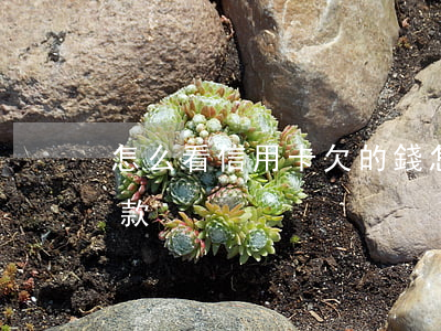 怎么看信用卡欠的錢(怎么看信用卡的全部欠款)