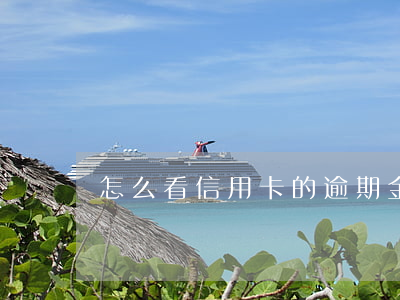 怎么看信用卡的逾期金(怎么看信用卡逾期了)