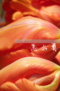怎么看信用卡逾期30天