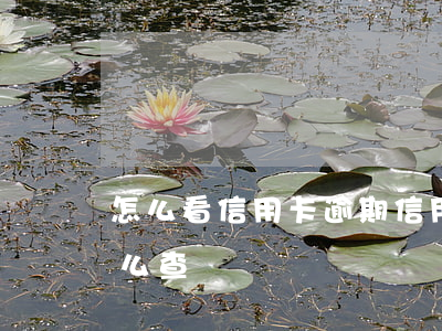 怎么看信用卡逾期（信用卡逾期本金和利息怎么查詢）