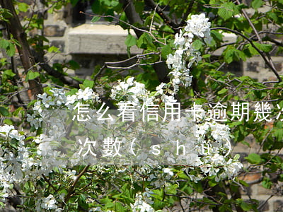 怎么看信用卡逾期幾次了(怎么查信用卡逾期次數(shù))