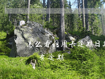 怎么看信用卡逾期日期(怎么看自己信用卡有沒有逾期)