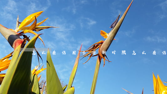 怎么看信用卡逾期时限(怎么看信用卡是否逾期)