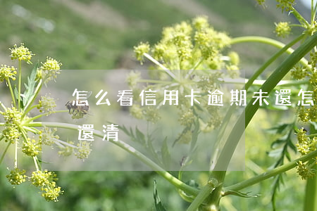 怎么看信用卡逾期未還(怎么看信用卡逾期未還清)