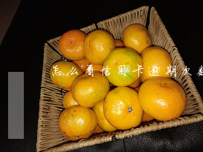 怎么看信用卡逾期次数（信用卡逾期看总额度）
