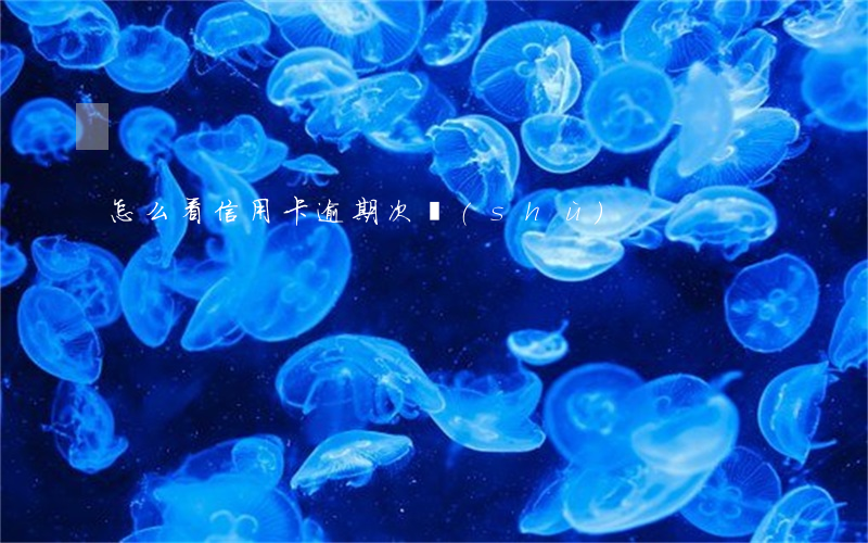 怎么看信用卡逾期次數(shù)