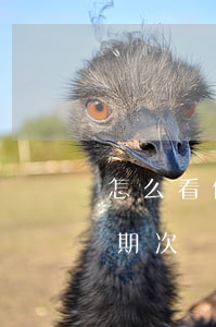 怎么看信用卡逾期次數(shù)（信用卡逾期次數(shù)與天數(shù)）