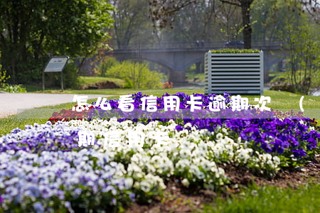 怎么看信用卡逾期次數(shù)（怎么算逾期信用卡）