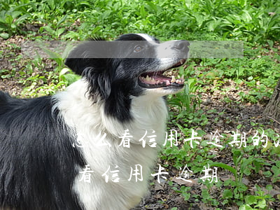 怎么看信用卡逾期的次數(shù)(怎么查看信用卡逾期)