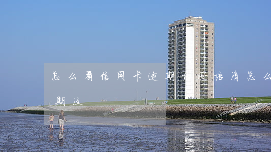 怎么看信用卡逾期结没结清(怎么查信用卡逾期没)