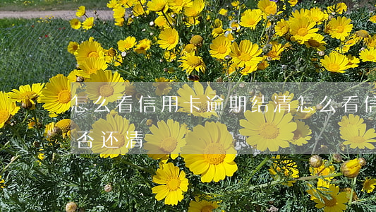 怎么看信用卡逾期结清(怎么看信用卡账单是否还清)