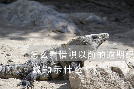 怎么看借唄以前的逾期記錄(借唄逾期還款記錄顯示什么)