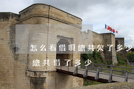 怎么看借唄總共欠了多少錢(借唄逾期怎么看總共借了多少)