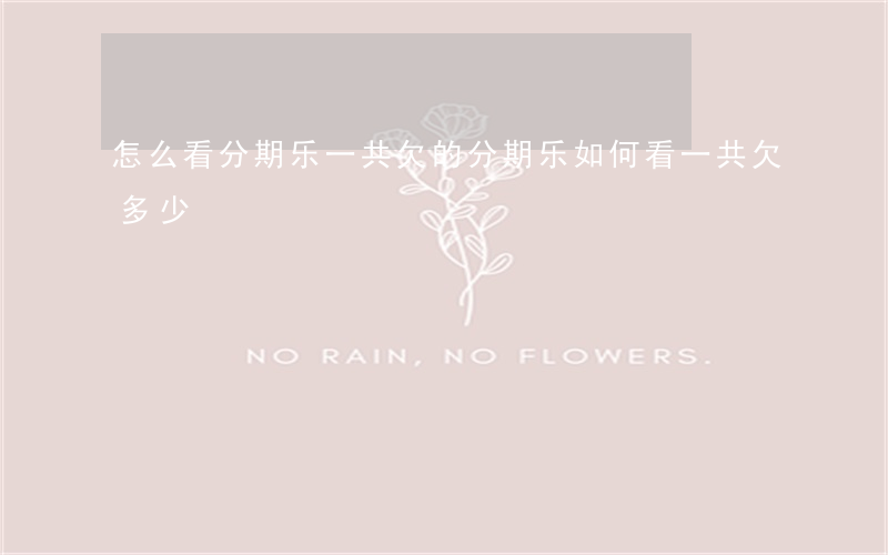 怎么看分期乐一共欠的(分期乐如何看一共欠多少)