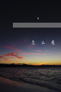 怎么看分期免息(怎么看信用卡分期免息)