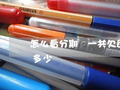 怎么看分期樂一共欠的(分期樂如何看一共欠多少)
