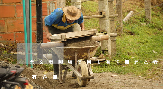 怎么看哪張信用卡有逾期(怎么看信用卡有沒有逾期)