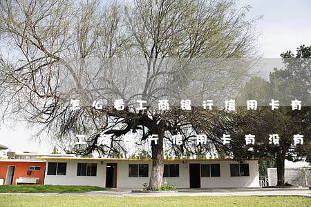 怎么看工商银行信用卡有没有逾期-怎么看工商银行信用卡有没有逾期记录