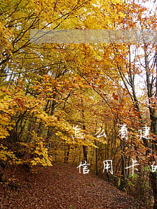 怎么看建行信用卡逾期利息(怎么查自己建行信用卡的還款日和最遲)