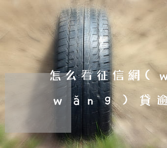 怎么看征信網(wǎng)貸逾期記錄(網(wǎng)貸逾期什么時候能在征信報告上看到)