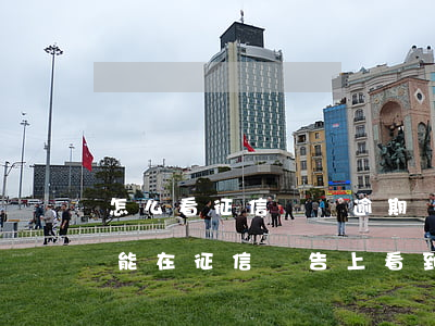 怎么看征信網貸逾期記錄(網貸逾期什么時候能在征信報告上看到)