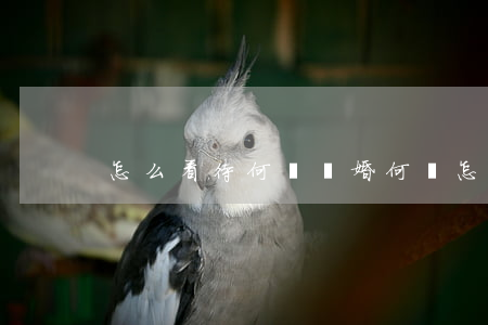 怎么看待何潔離婚(何潔怎么了)