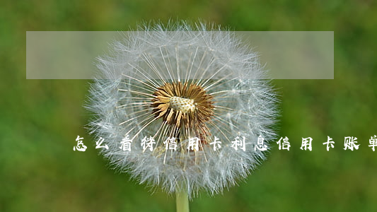 怎么看待信用卡利息(信用卡 账单 利息)