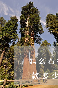 怎么看微粒贷欠多少(微粒贷逾期怎么看总欠款多少)
